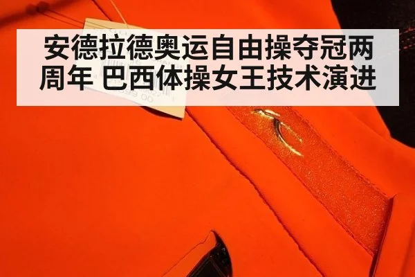 安德拉德奥运自由操夺冠两周年 巴西体操女王技术演进
